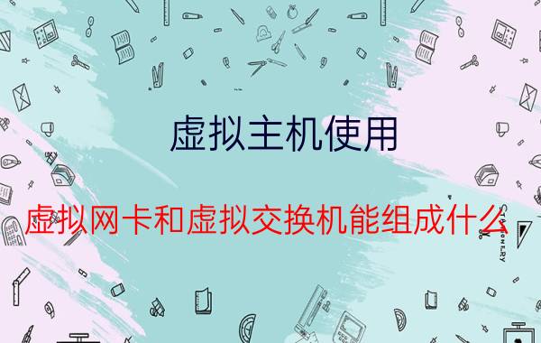 虚拟主机使用 虚拟网卡和虚拟交换机能组成什么？